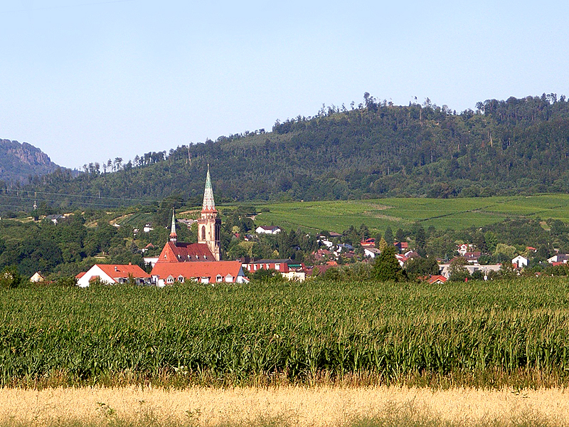 Sinzheimer Panorama mit Kirche