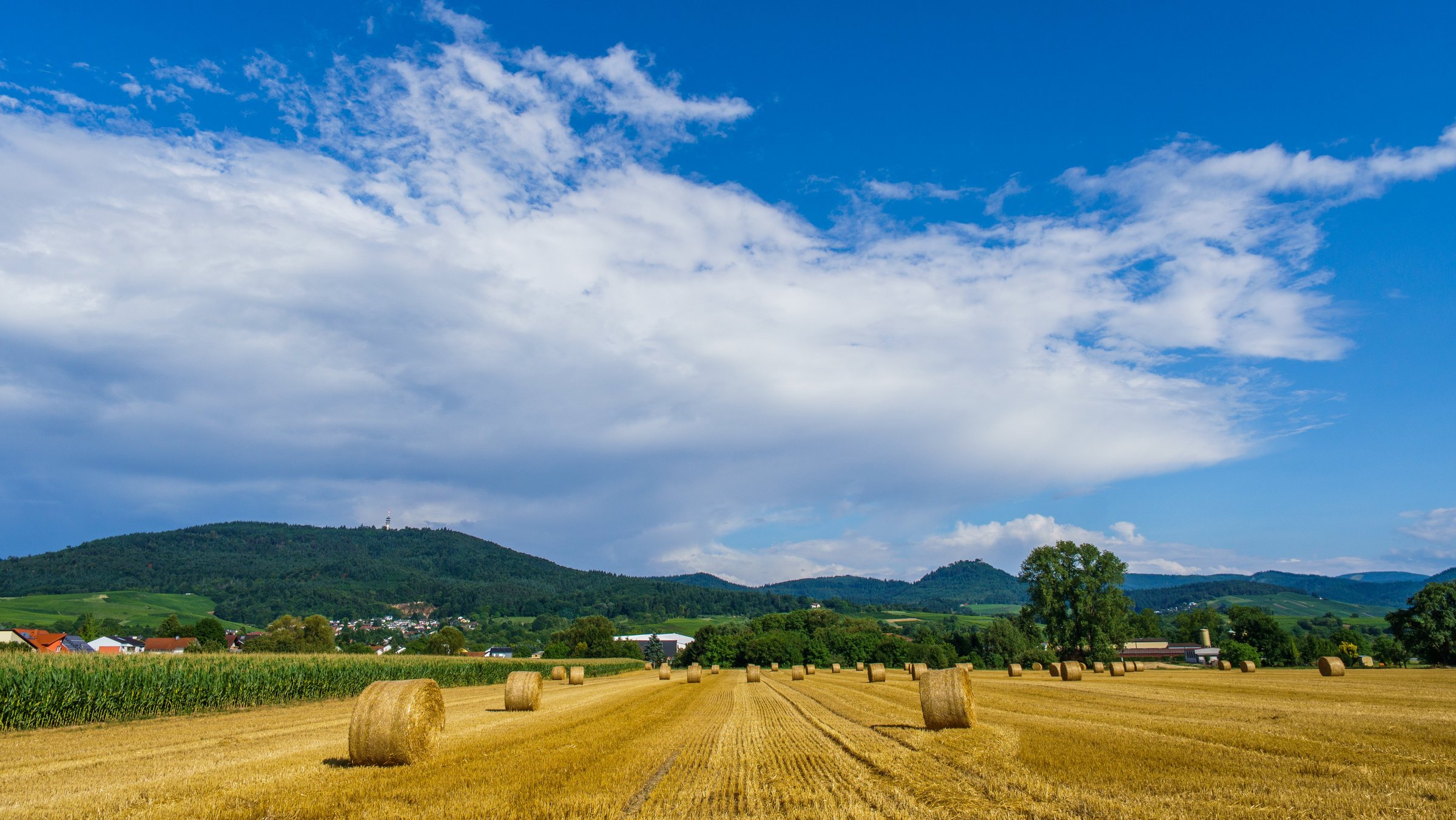 Sinzheimer Panorama